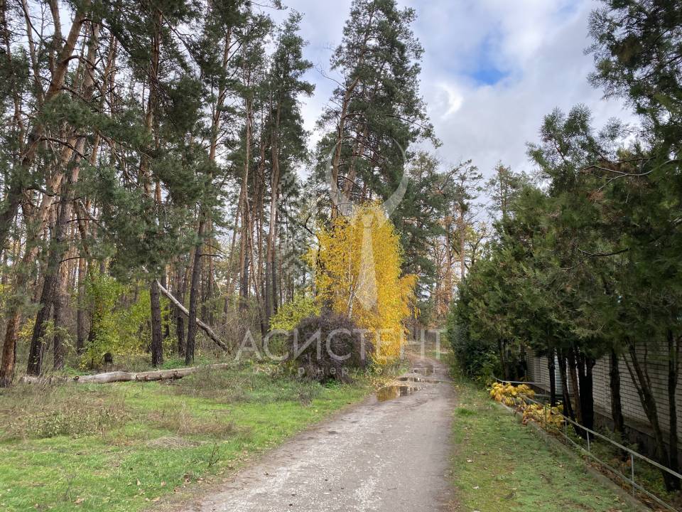 WebWizard CRM Real Estate